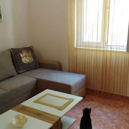 Apartment Domenika